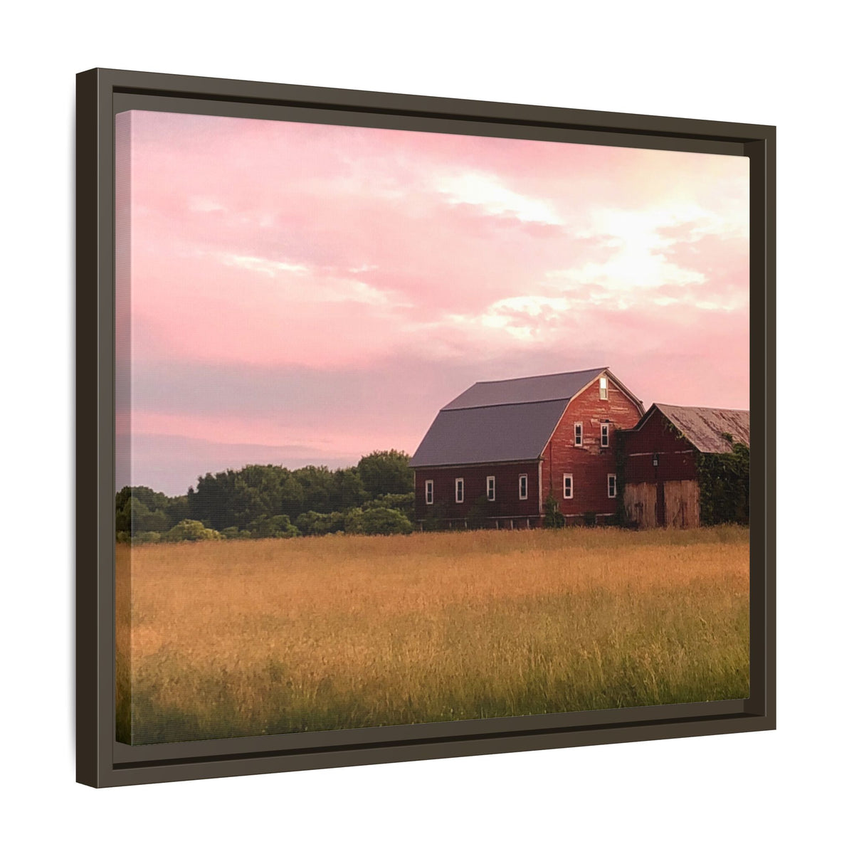 Weathered Barn at Dusk Canvas Framed Print
