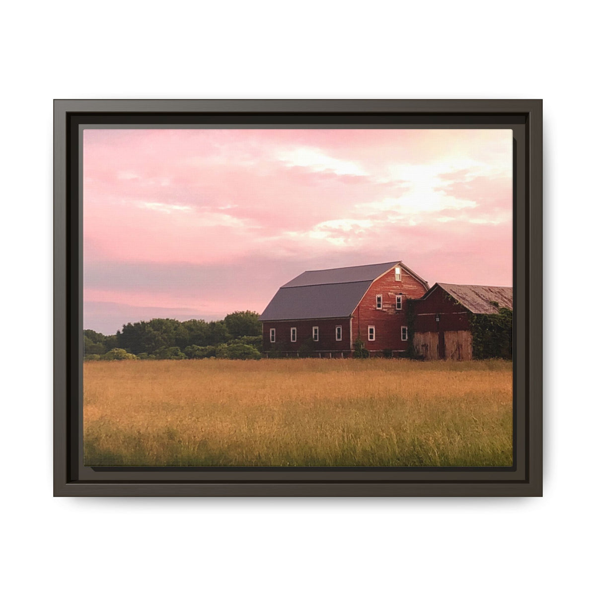 Weathered Barn at Dusk Canvas Framed Print