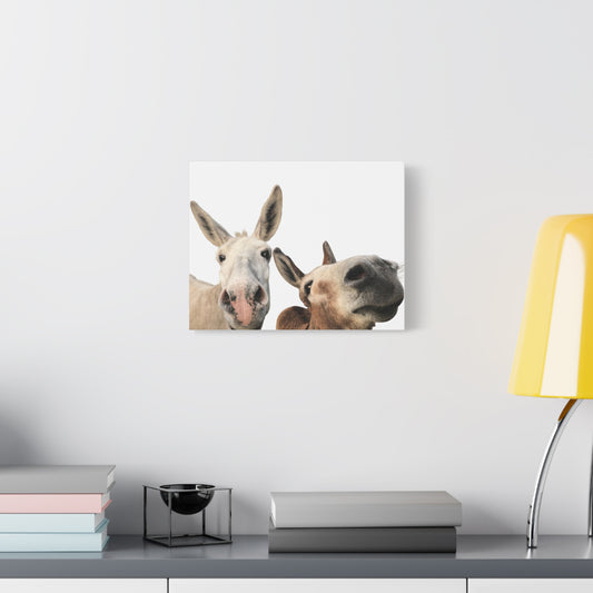 Canvas Print - Delightful Donkeys (original photographs by Kind River Studio)