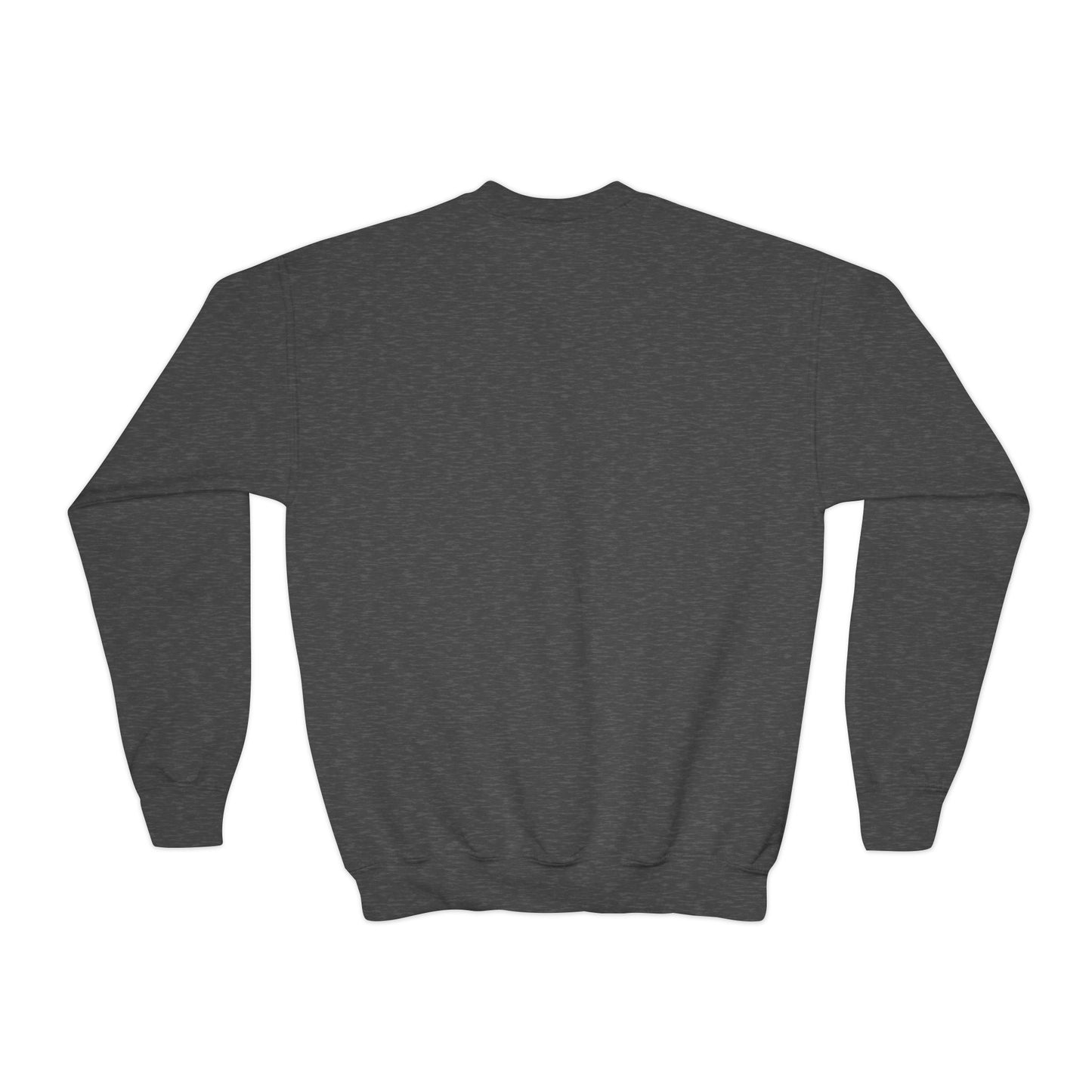 Crewneck Sweatshirt (Youth) - Practice to Progress