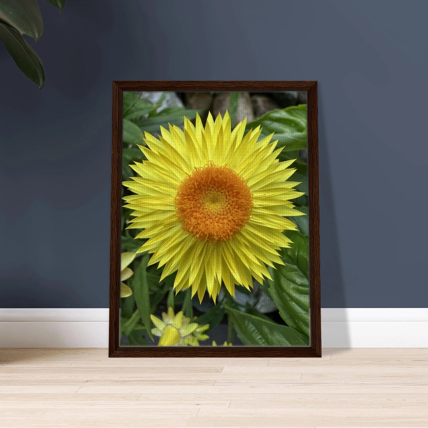 89ae204b-0bf2-447d-b2b1-90597fd161b0