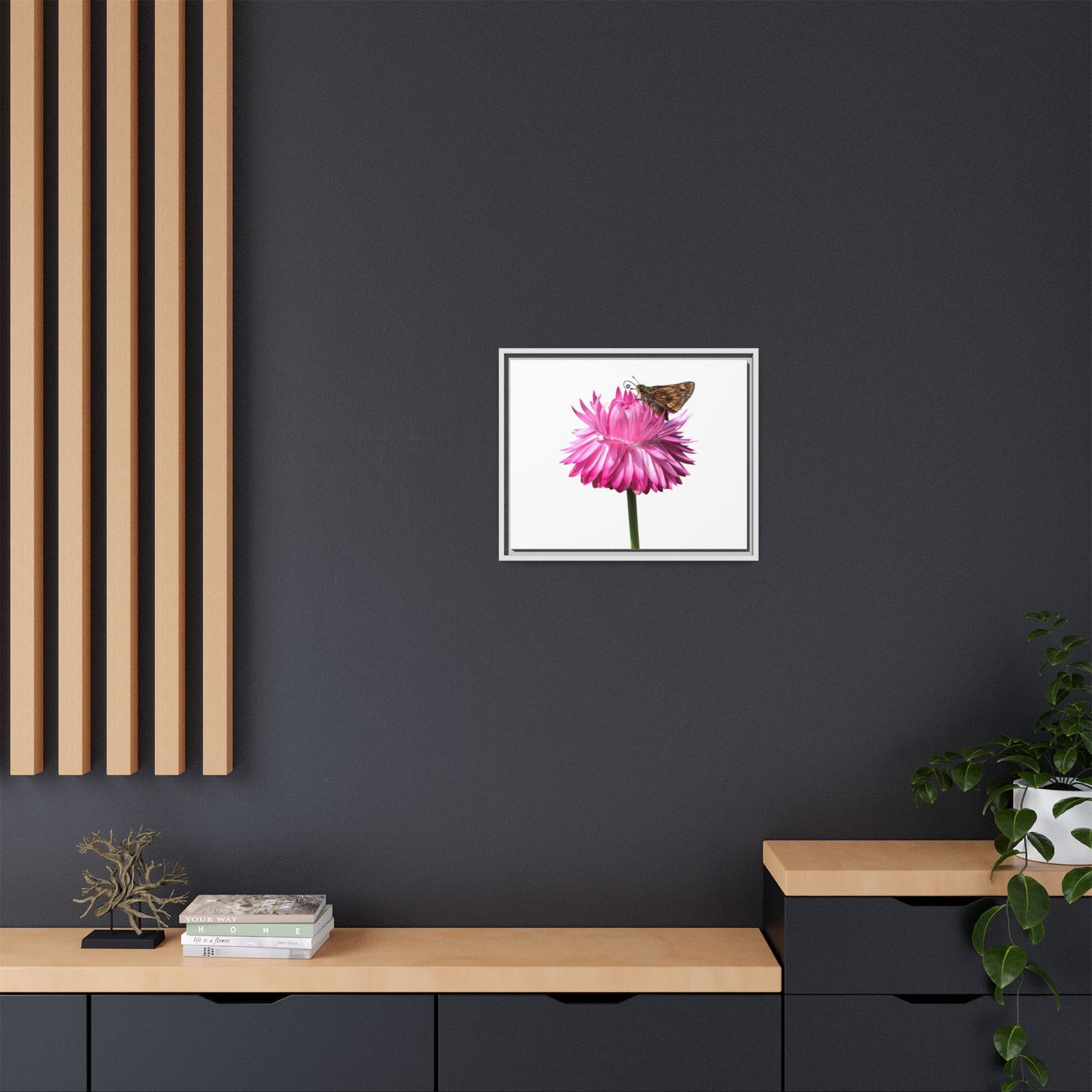 Canvas Print in Frame - Skipper on Strawflower (original photograph by Kind River Studio)
