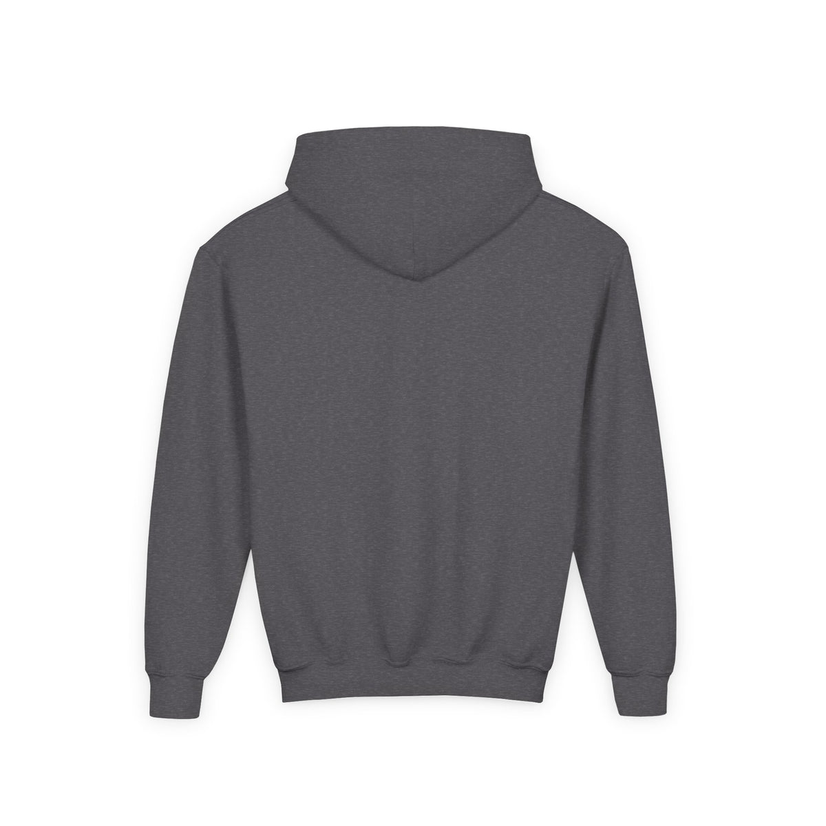 Sweater Weather Swissy Hoodie (Youth)