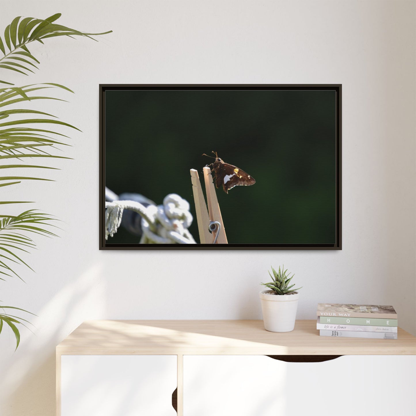 Canvas Print in Frame - Skipper on the Line (original photograph by Kind River Studio)