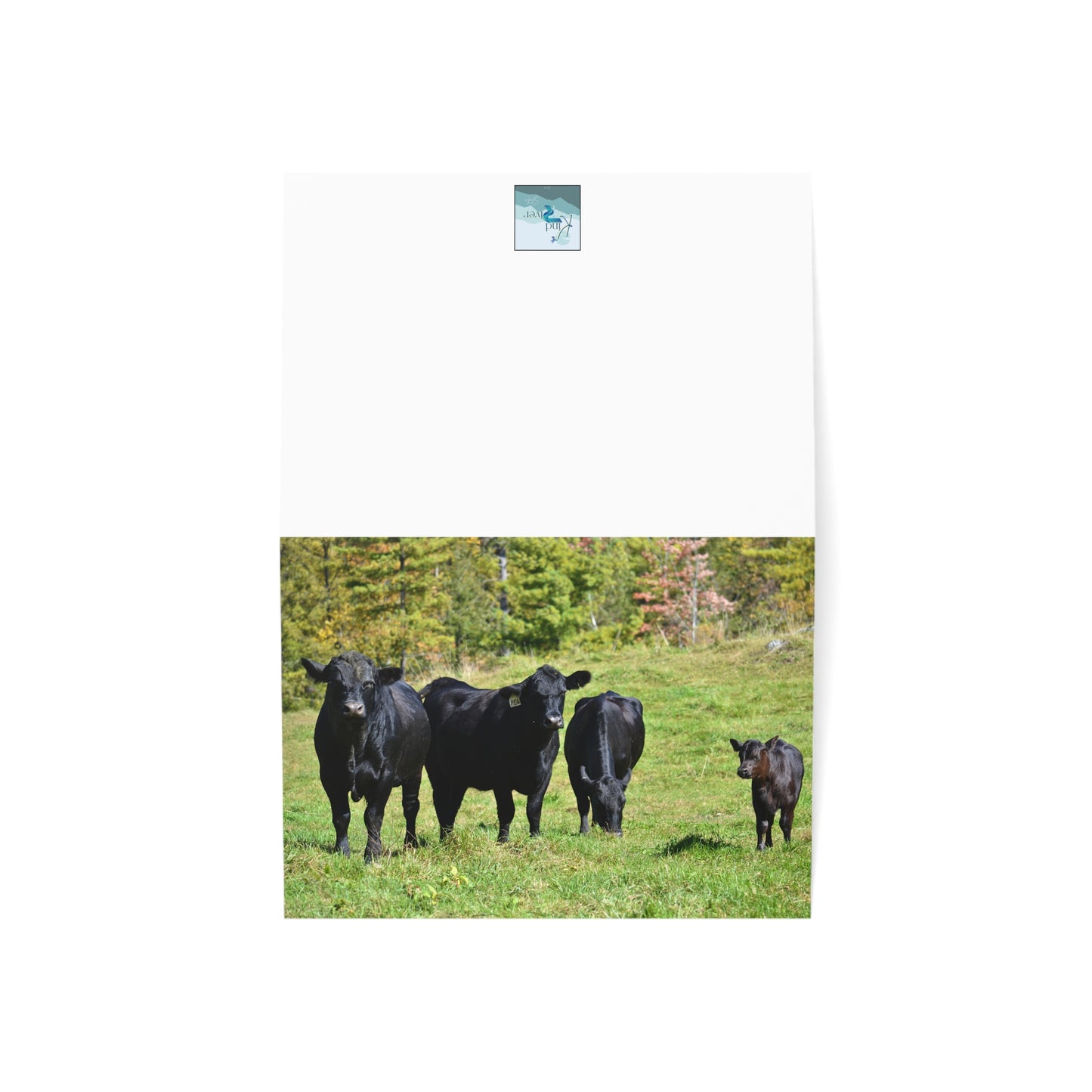 Note Cards | Set of 10 - Angus Cows in Autumn