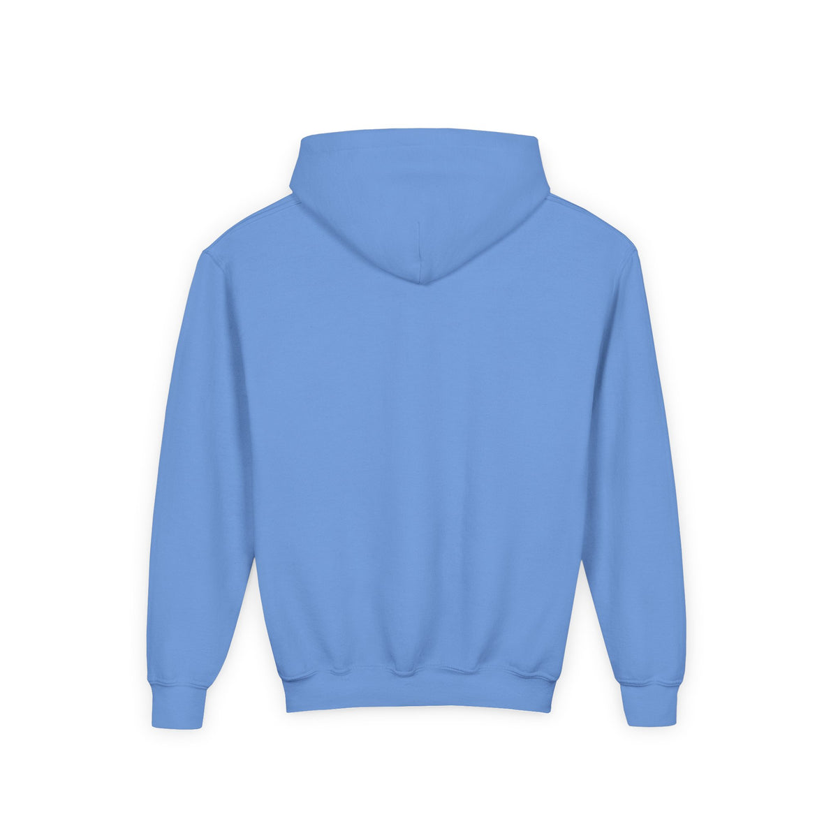 Sweater Weather Swissy Hoodie (Youth)