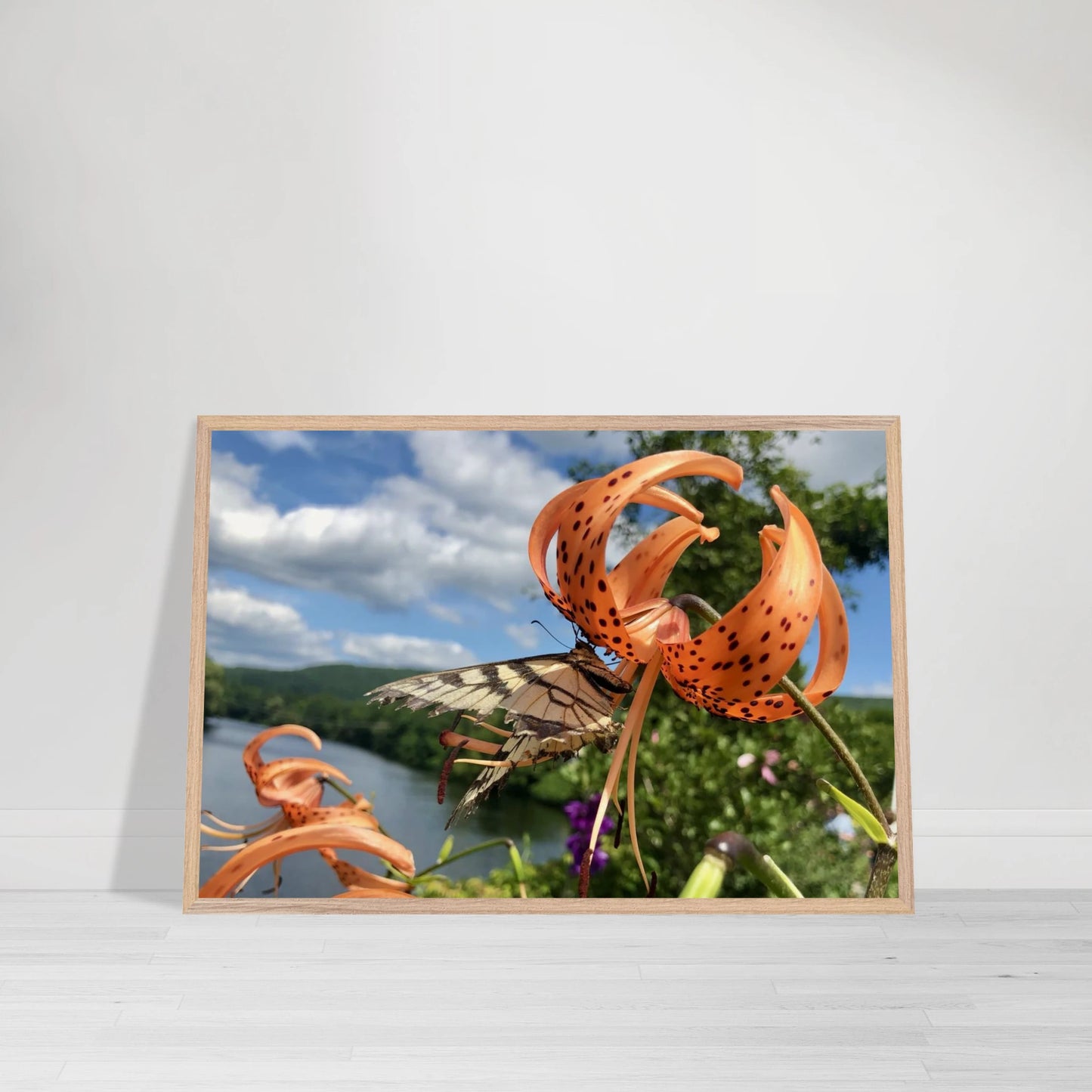 9e47941a-ca50-483f-b943-a3d990a4eb56