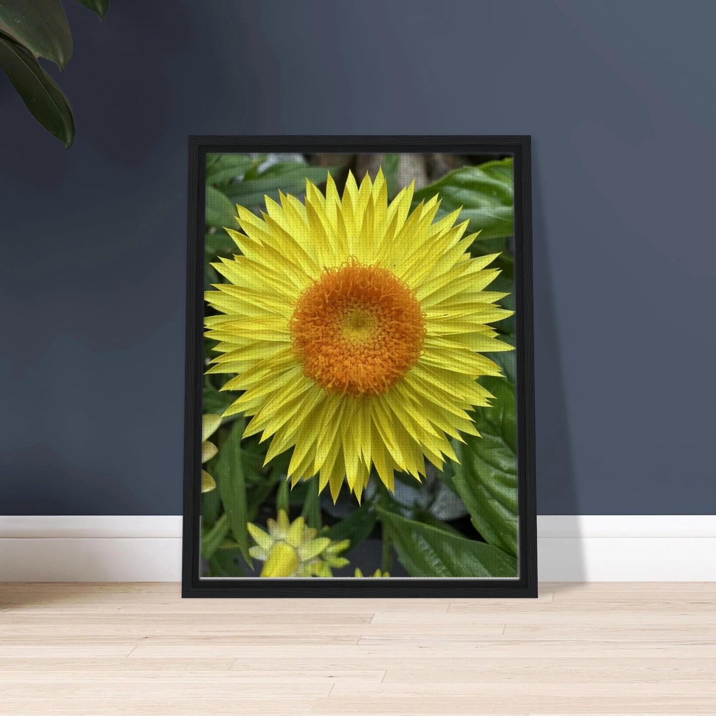 a37b3ae3-201a-42b2-aa02-8697ea72eae5