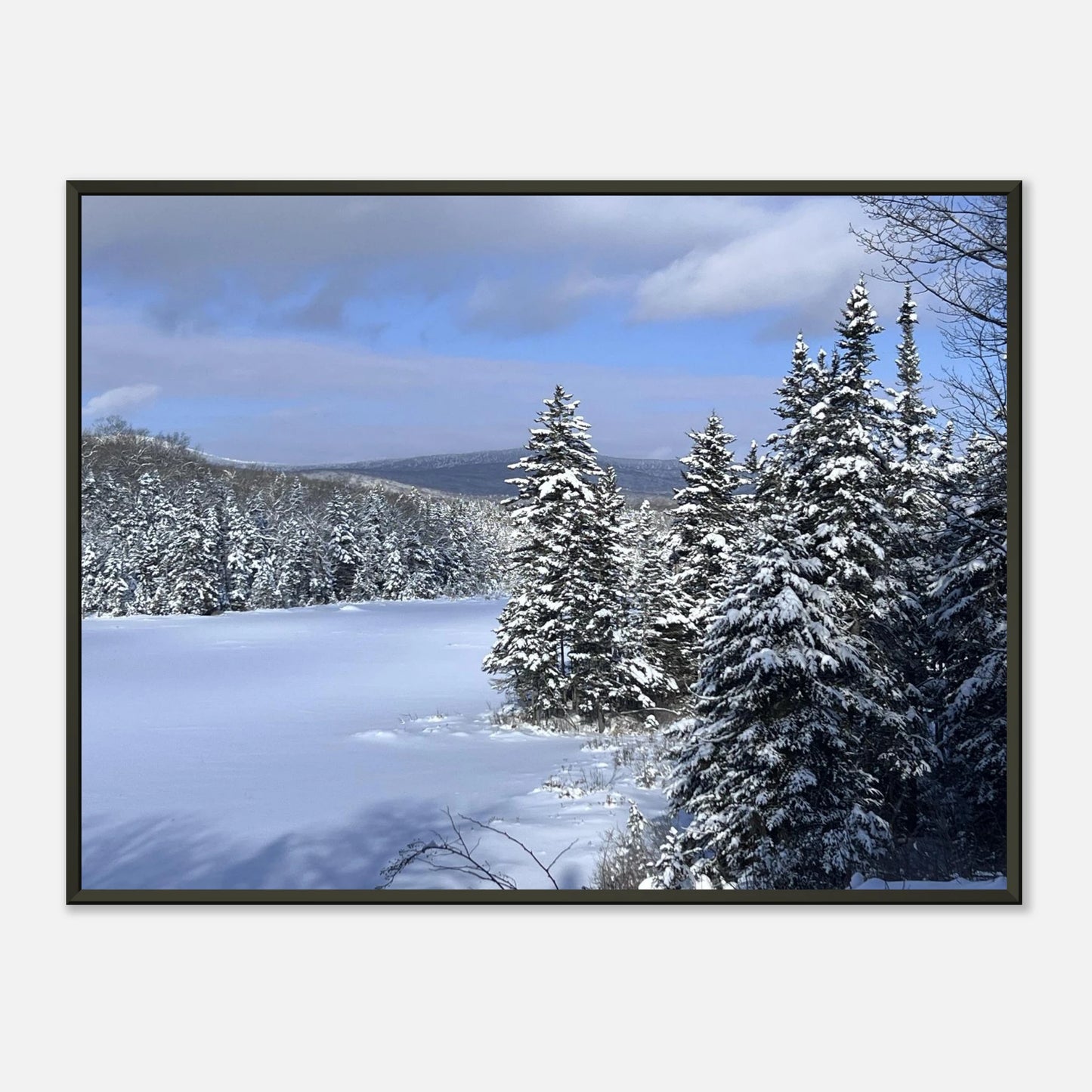 a4fc6b32-43cc-4697-b5d2-10e75009db1e