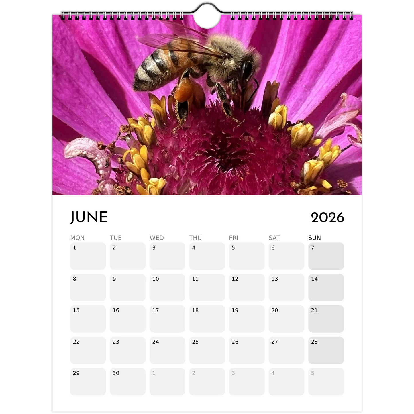 bf685d20-69be-4f05-82c2-11e9166720bd