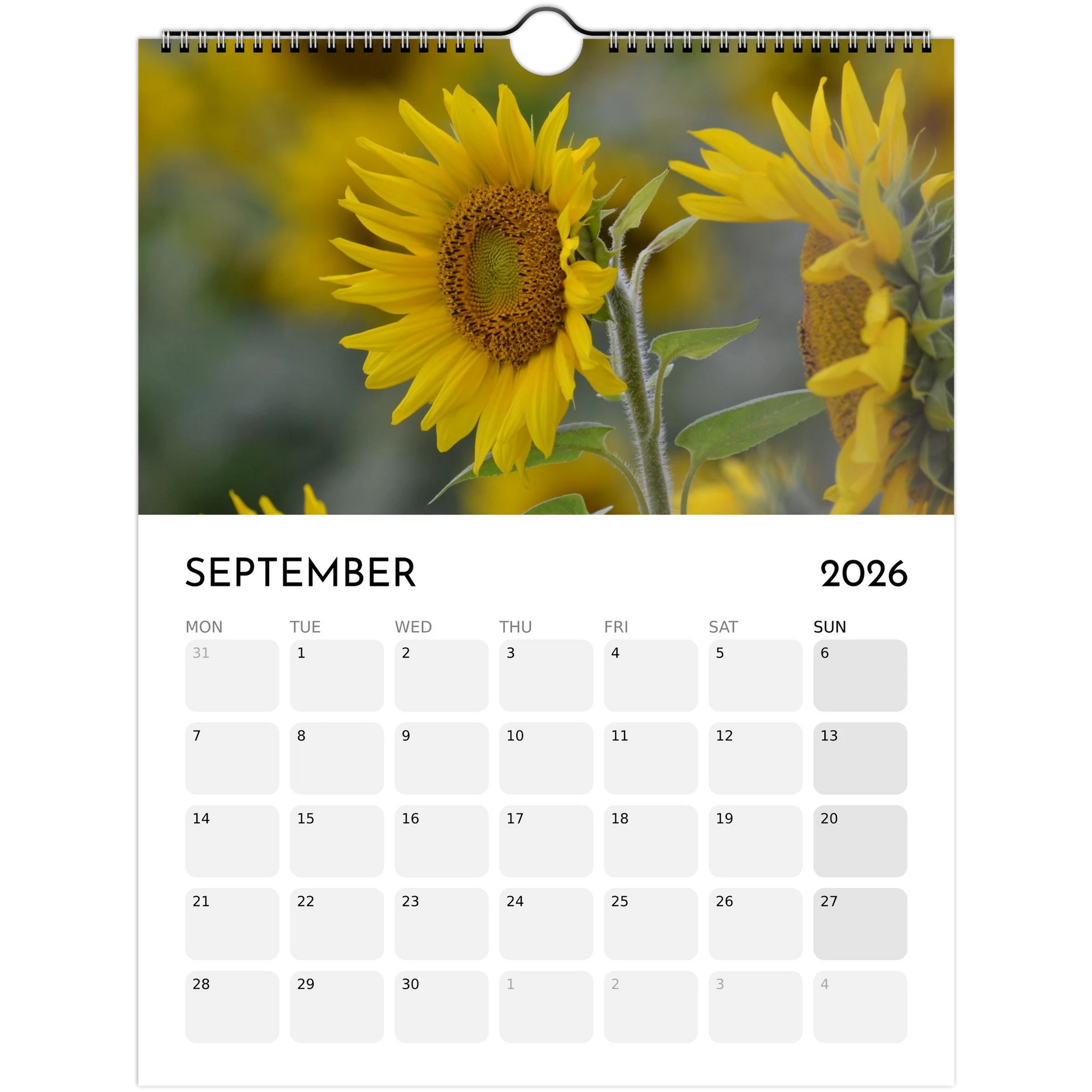 c05baf75-2d7f-4e92-8335-92cd308aacc8