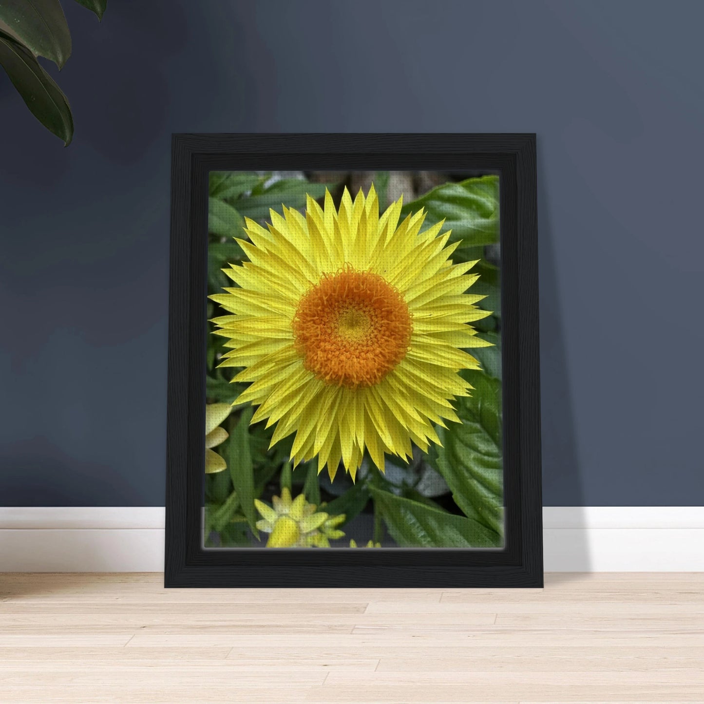 c24adb87-6701-4d7f-bdc2-0f436fb09550