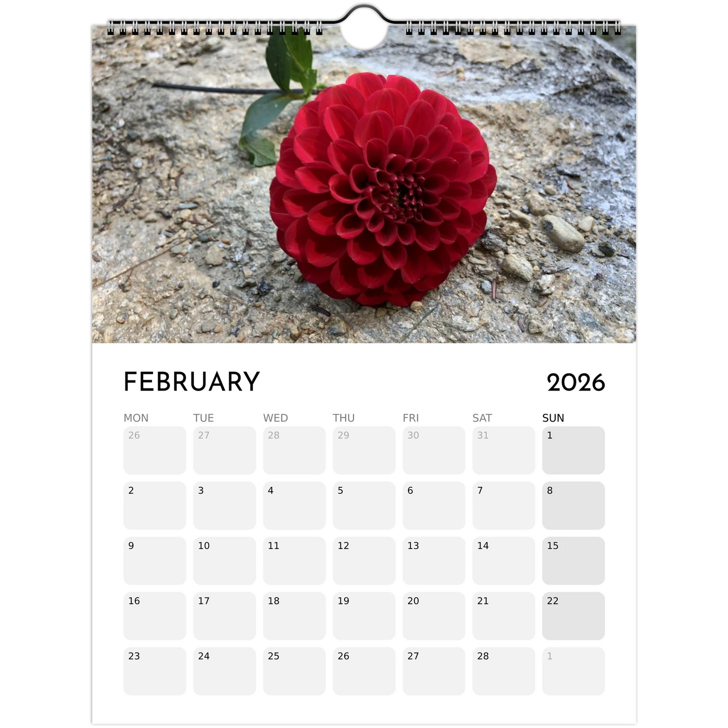 c39c2f17-ca33-4810-82a7-989c5146a9c6