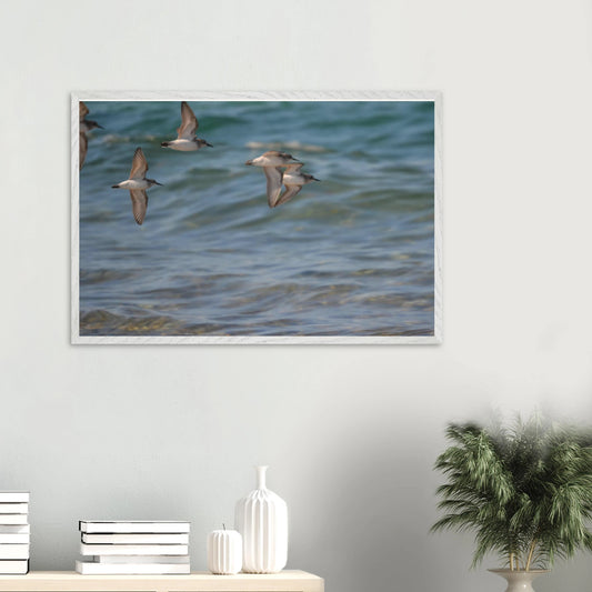 c855910d-8e87-4ed7-a7cf-50eda30f1f16