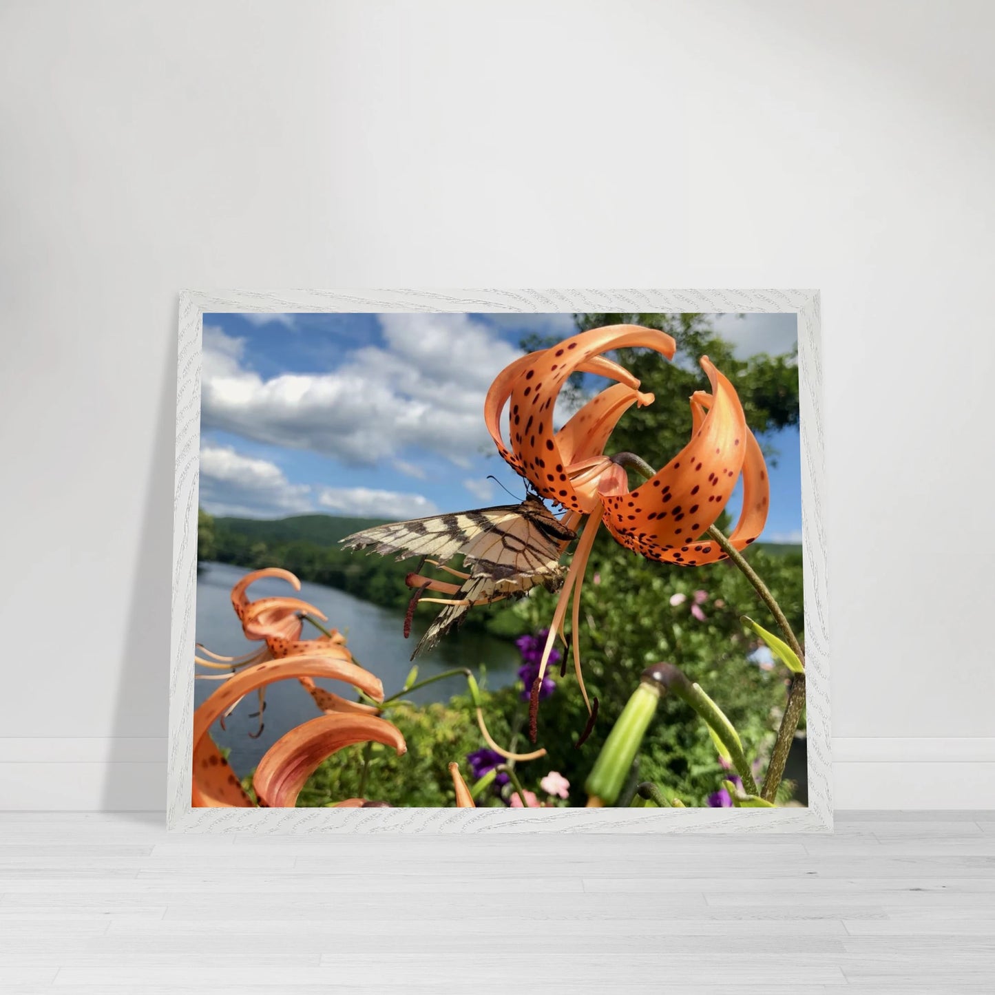 d20f76c5-e4d3-4386-a761-9249f7aa4a28