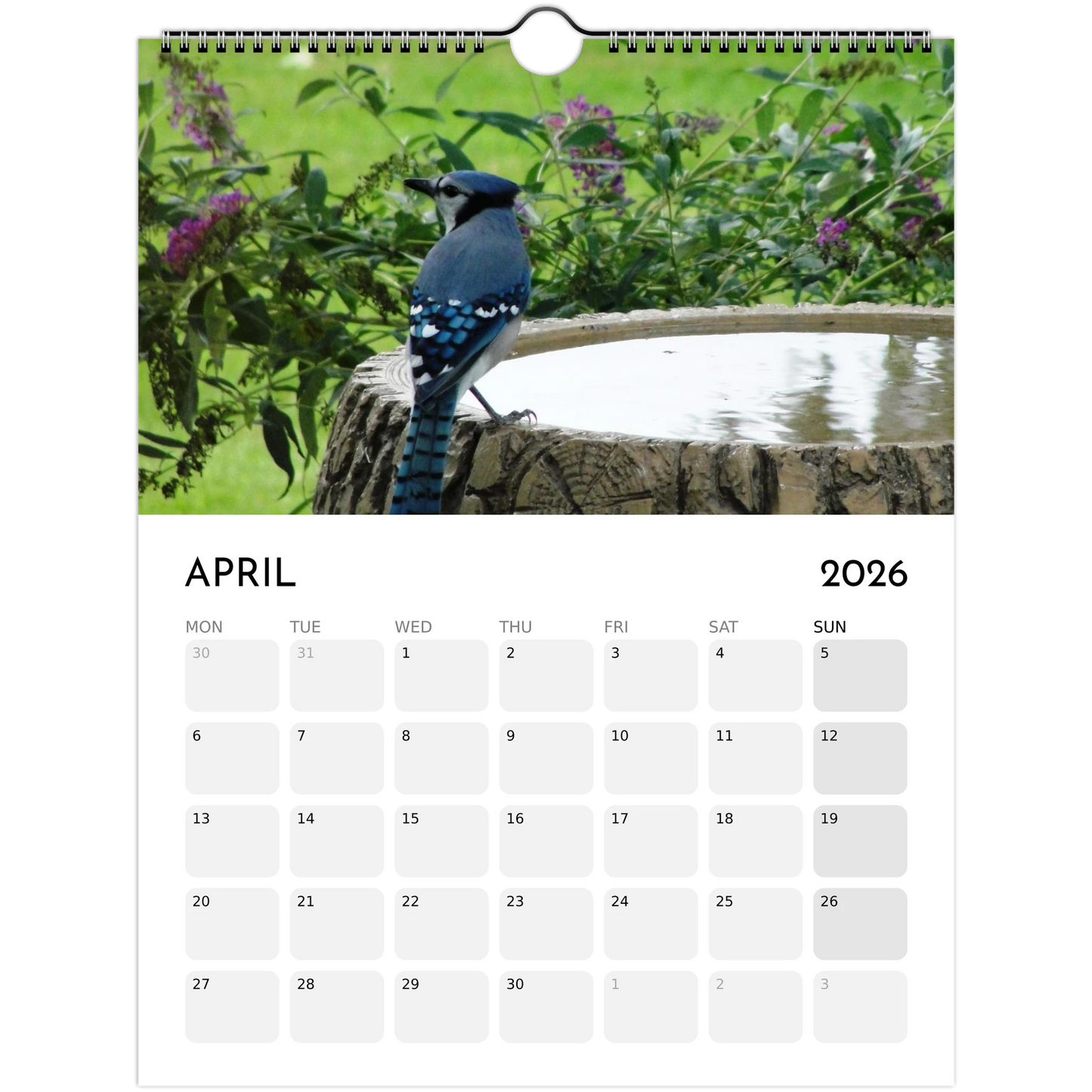 daadc407-f277-401a-9f86-0dbe2bf366da