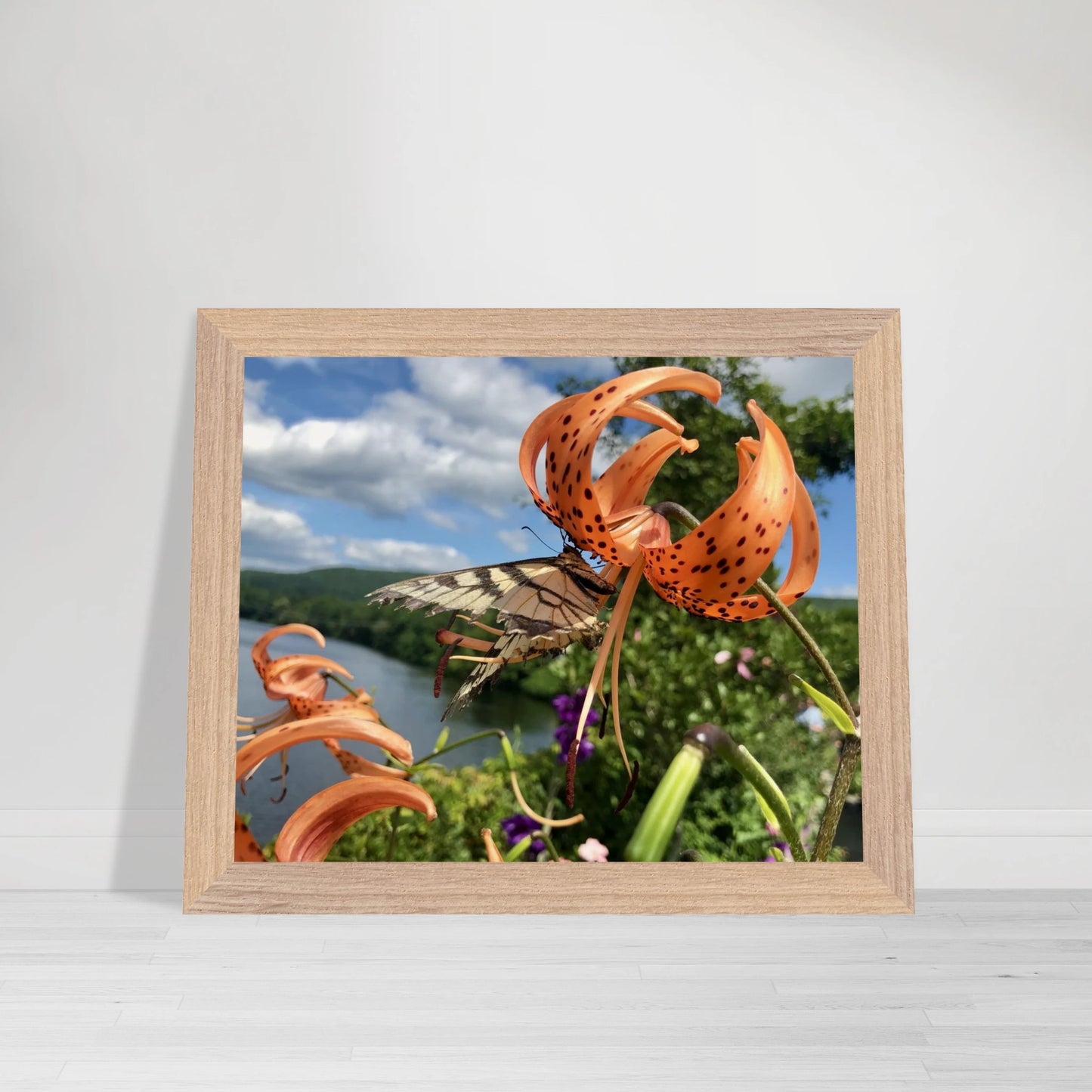 db0496dd-9c04-48d6-87b5-b5f8eb4919ce