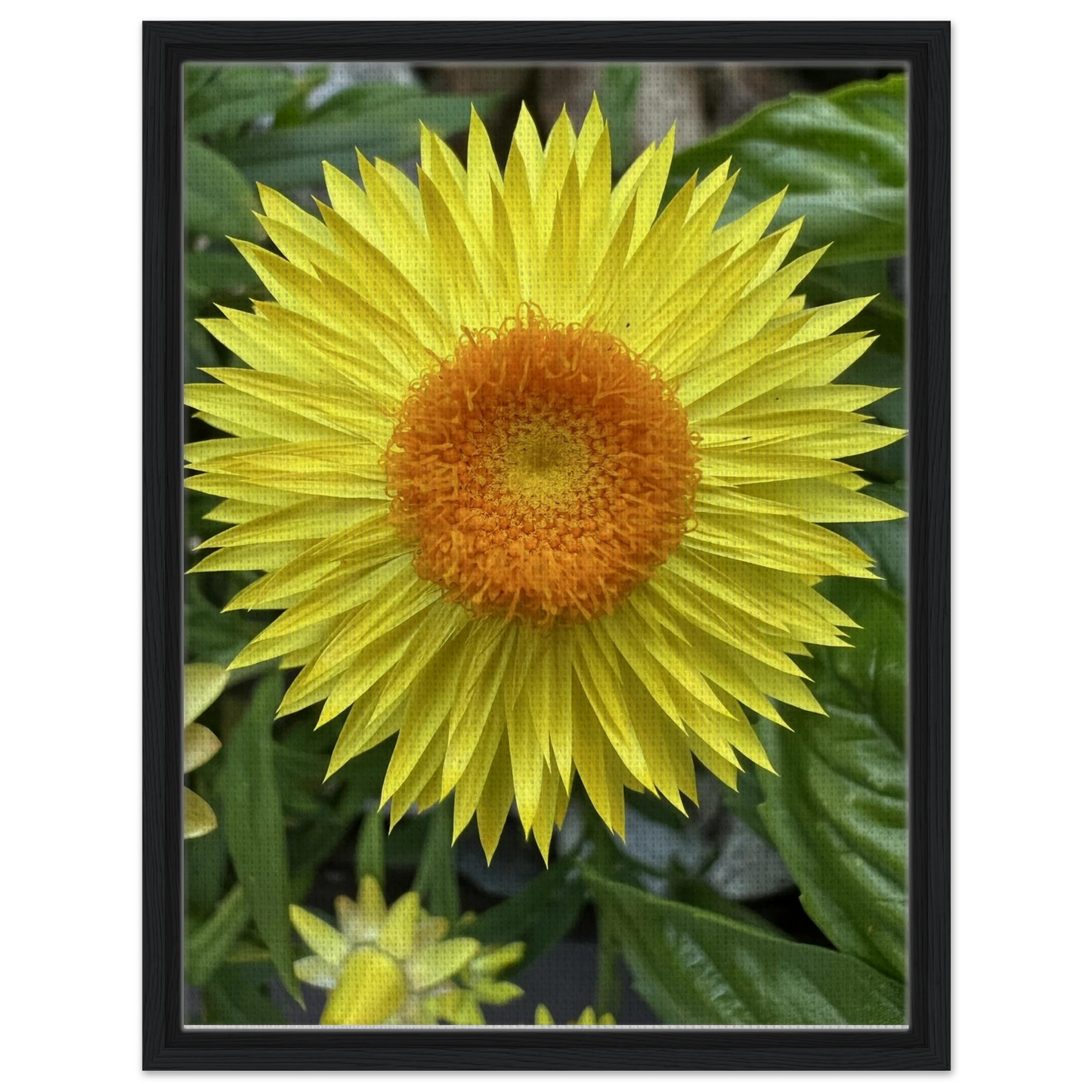 e430a1c1-5f9c-41e9-8314-a2a95f71e186