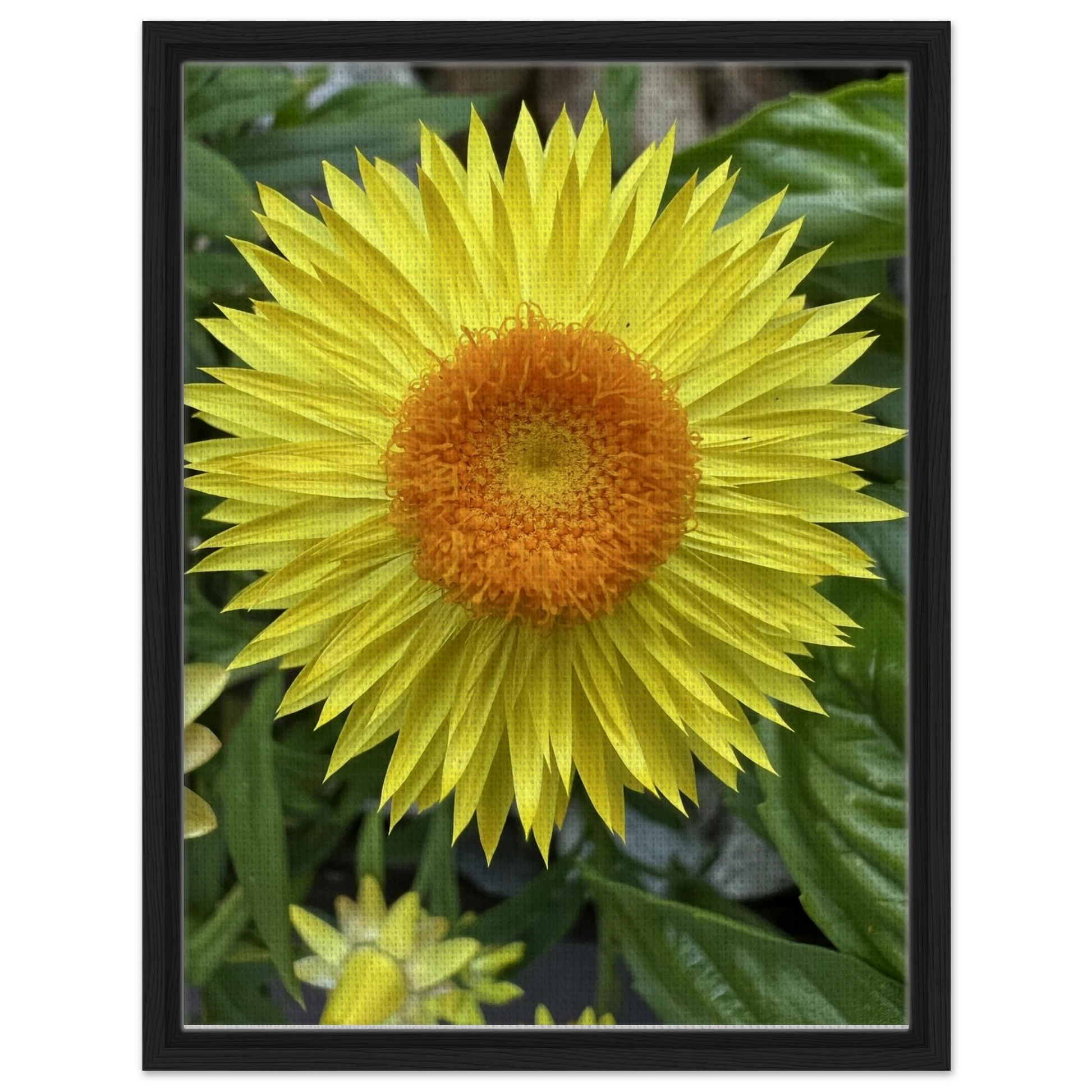 e430a1c1-5f9c-41e9-8314-a2a95f71e186